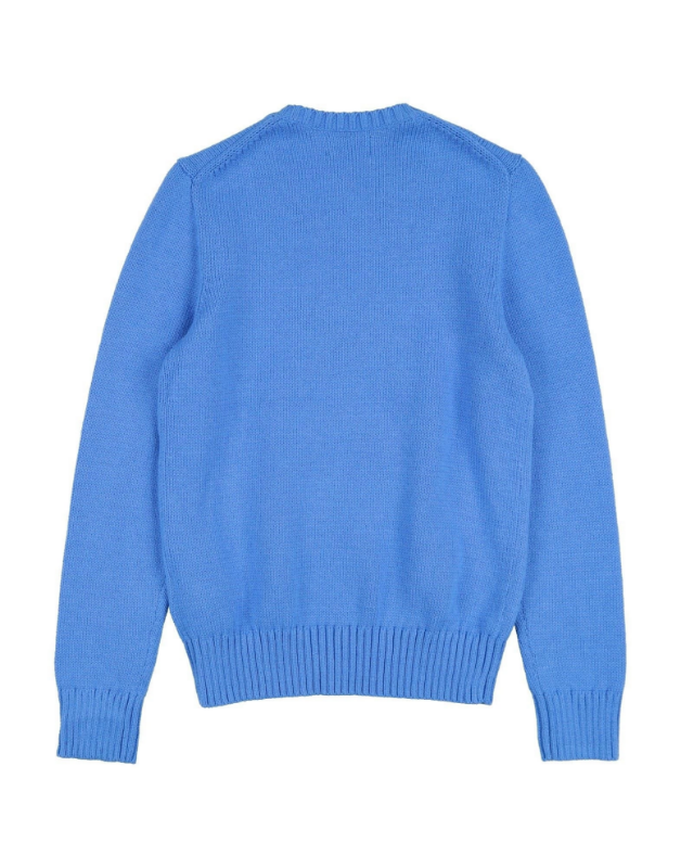Picture of Polo Bear Sweater