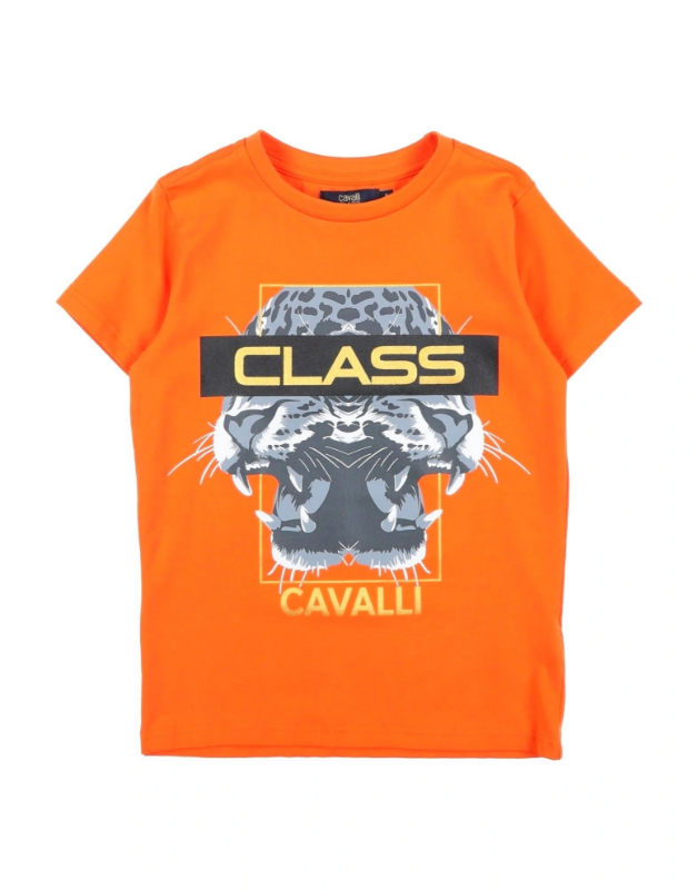 Picture of CAVALLI CLASS